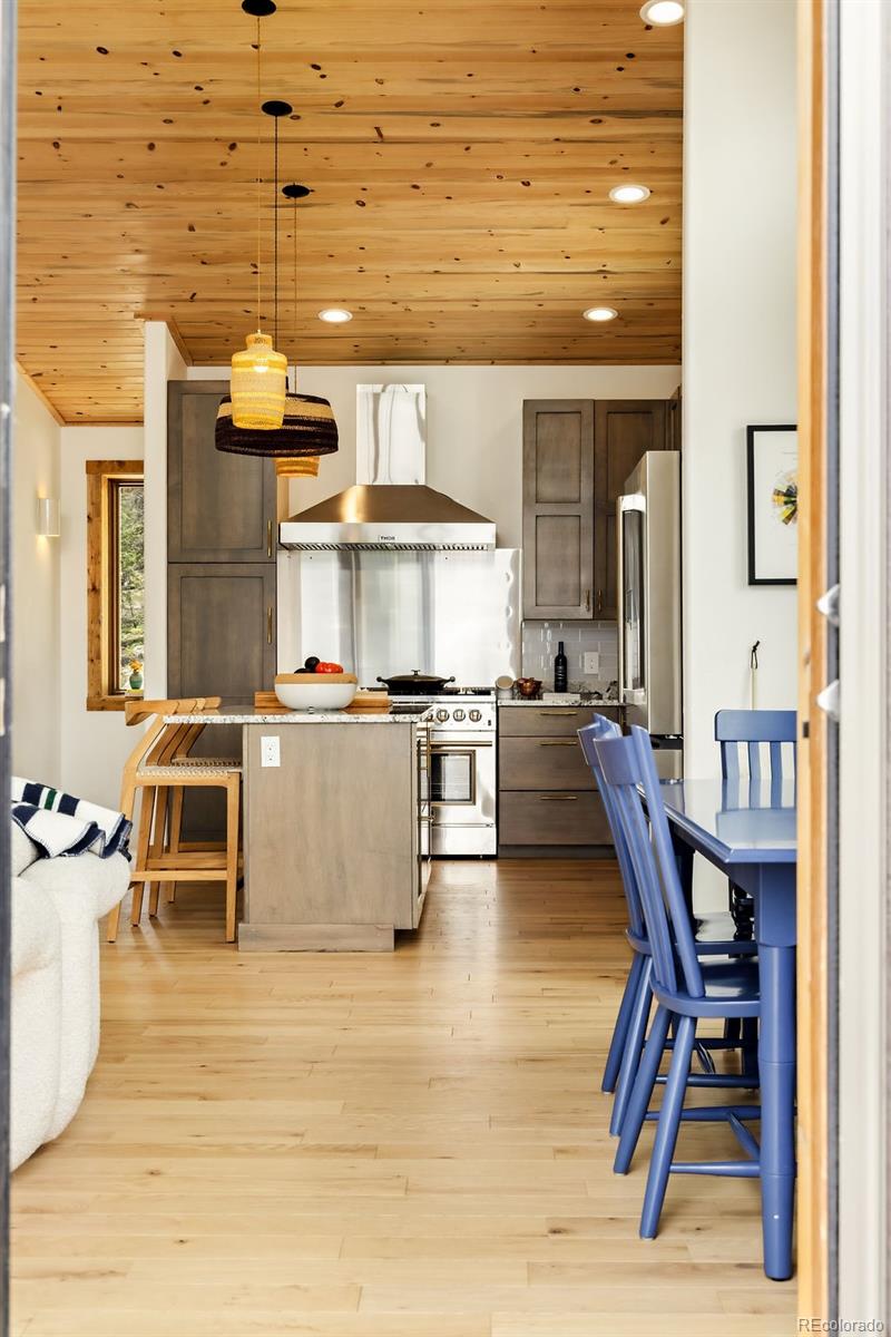 MLS Image #38 for 125  puma place,fairplay, Colorado