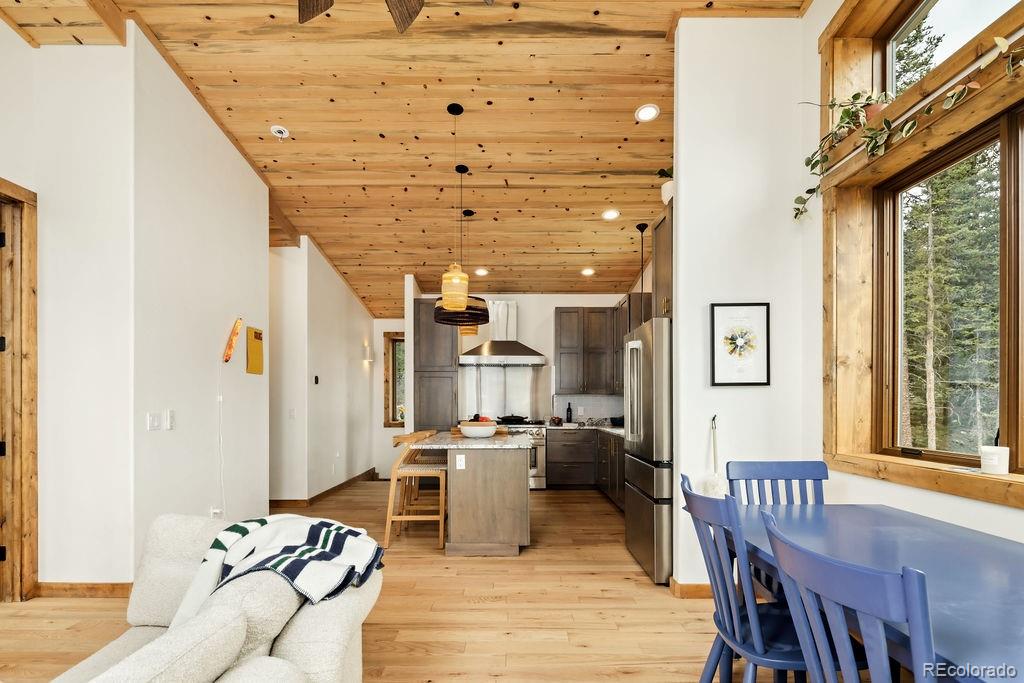MLS Image #39 for 125  puma place,fairplay, Colorado