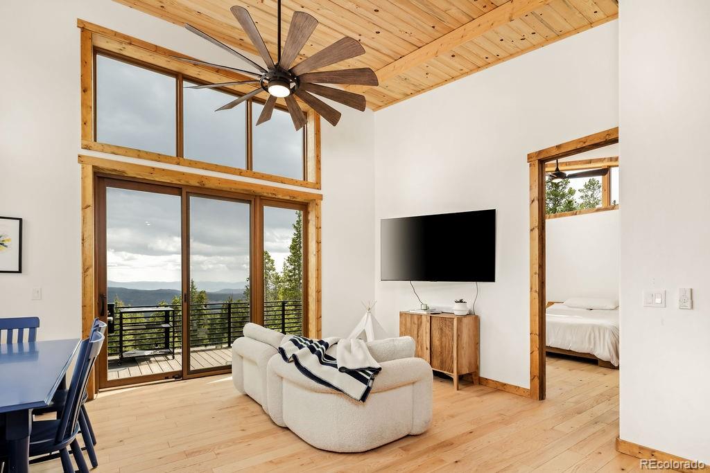 MLS Image #40 for 125  puma place,fairplay, Colorado