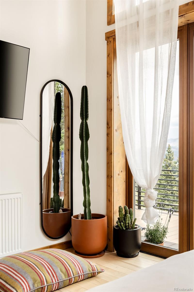 MLS Image #44 for 125  puma place,fairplay, Colorado