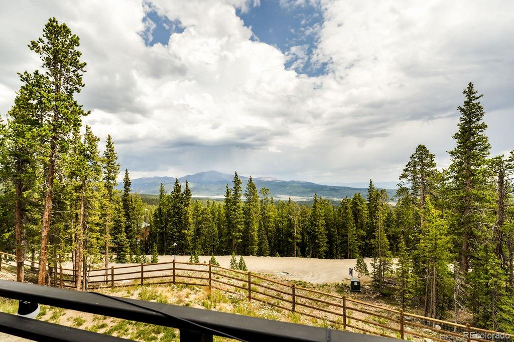 MLS Image #46 for 125  puma place,fairplay, Colorado