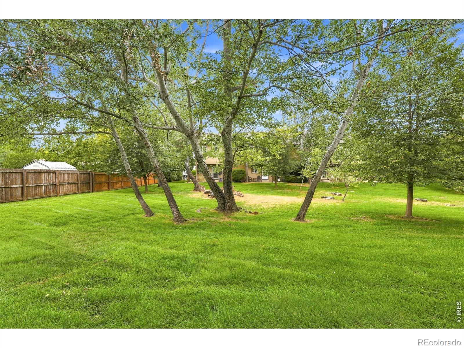 MLS Image #26 for 833 s coffman street,longmont, Colorado