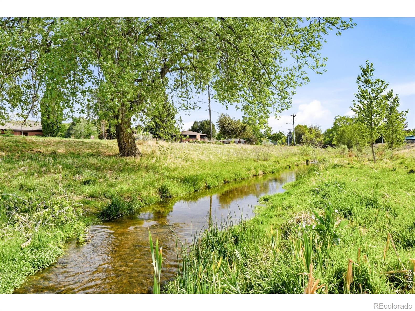 MLS Image #33 for 833 s coffman street,longmont, Colorado