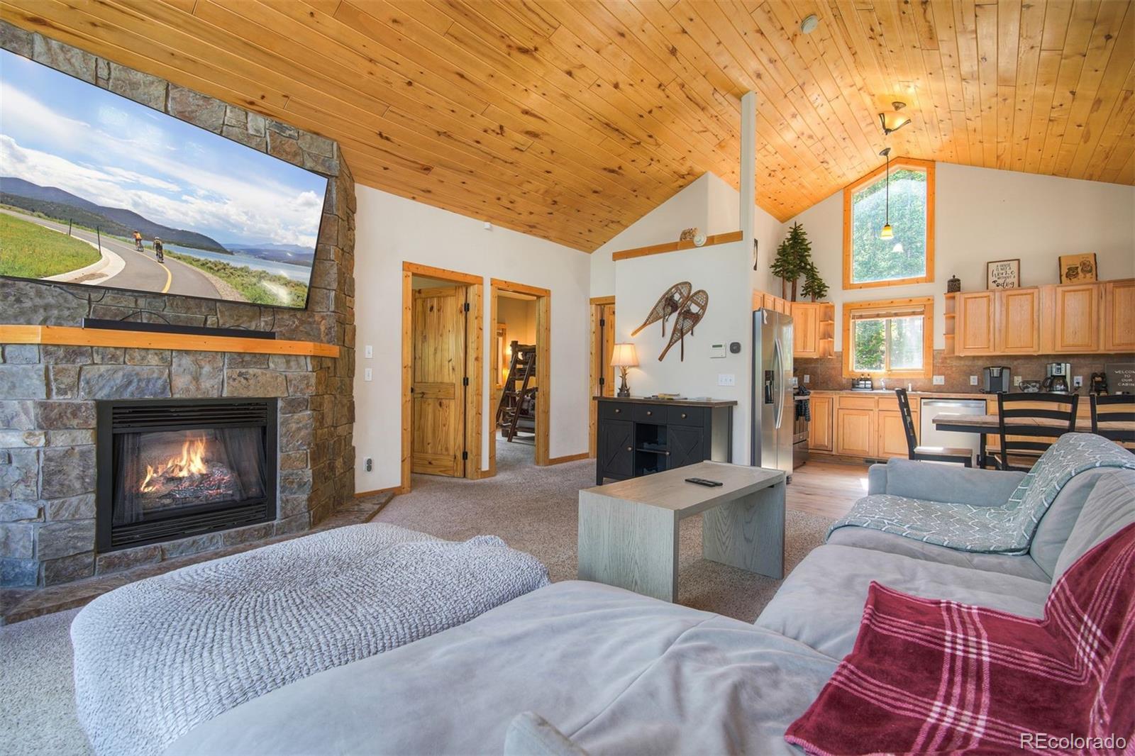 MLS Image #10 for 272  porcupine road,fairplay, Colorado