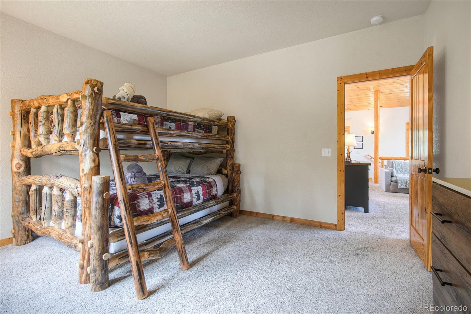 MLS Image #12 for 272  porcupine road,fairplay, Colorado