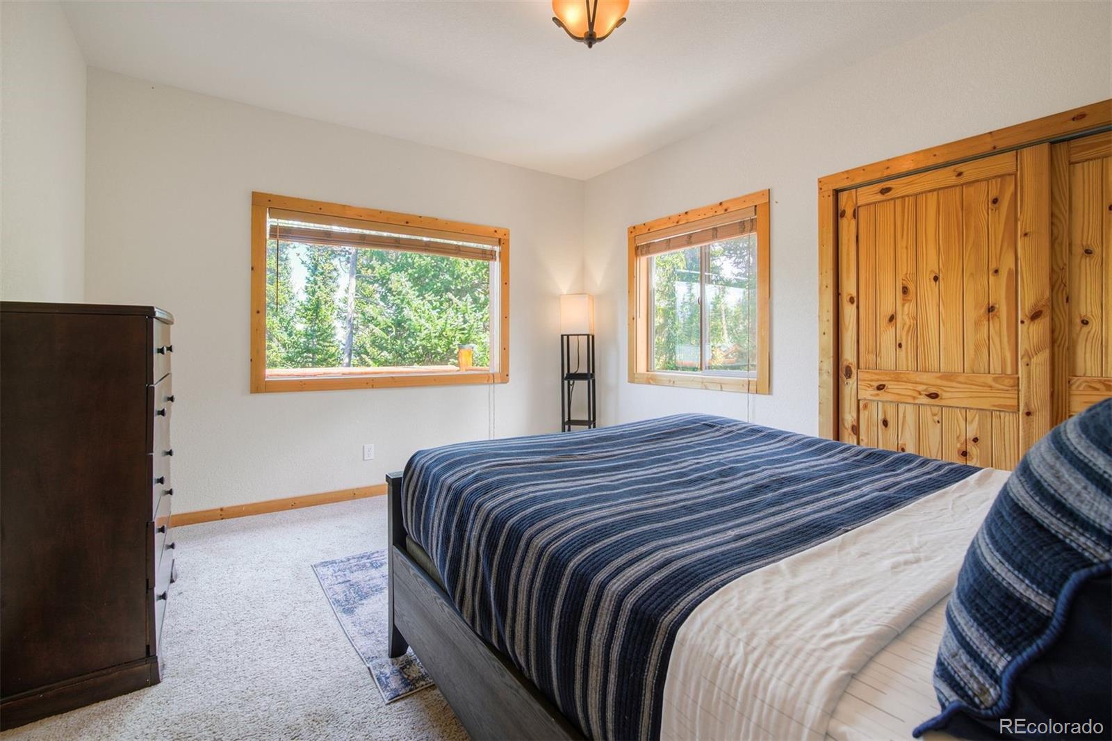 MLS Image #13 for 272  porcupine road,fairplay, Colorado