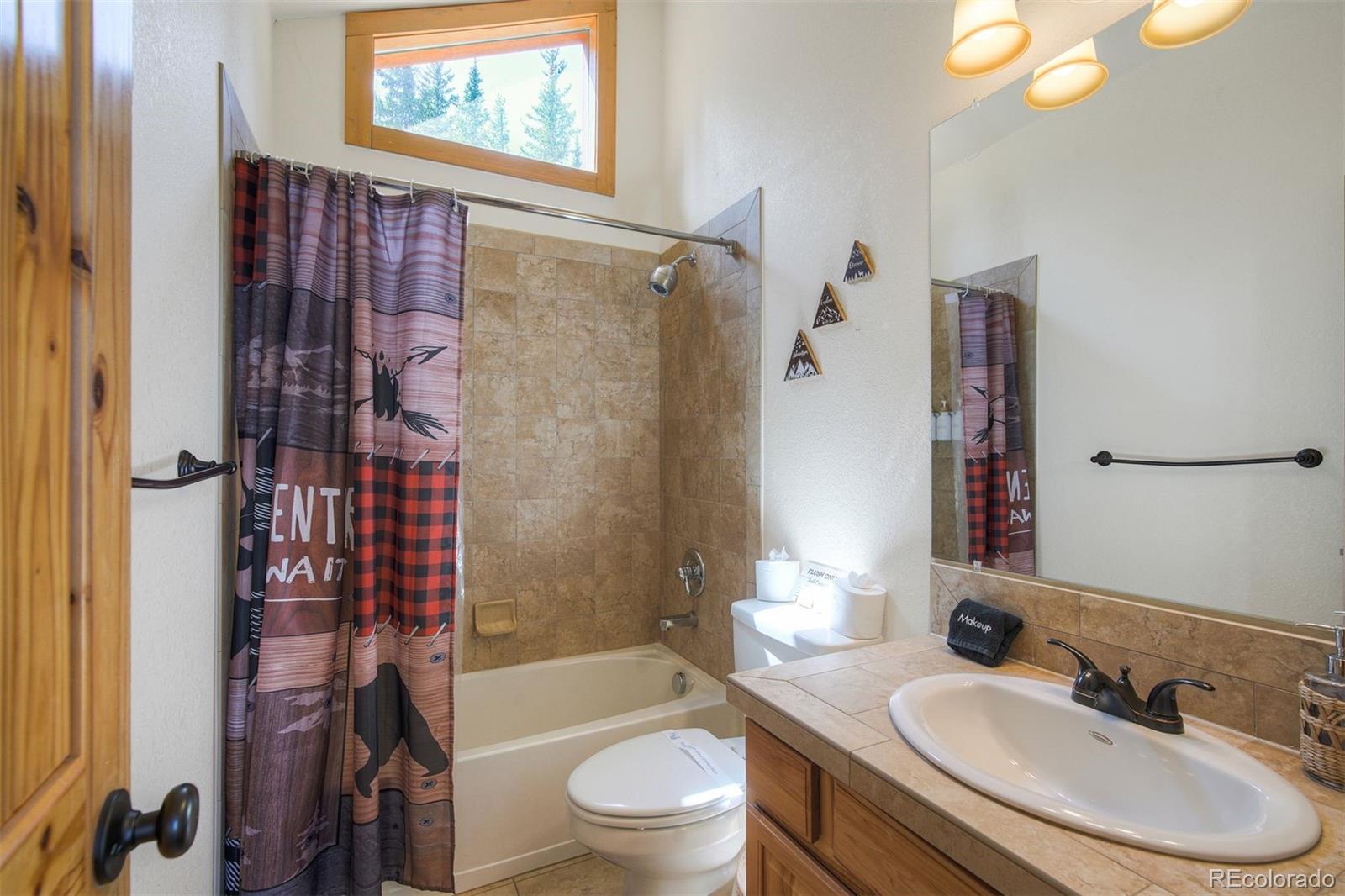 MLS Image #15 for 272  porcupine road,fairplay, Colorado