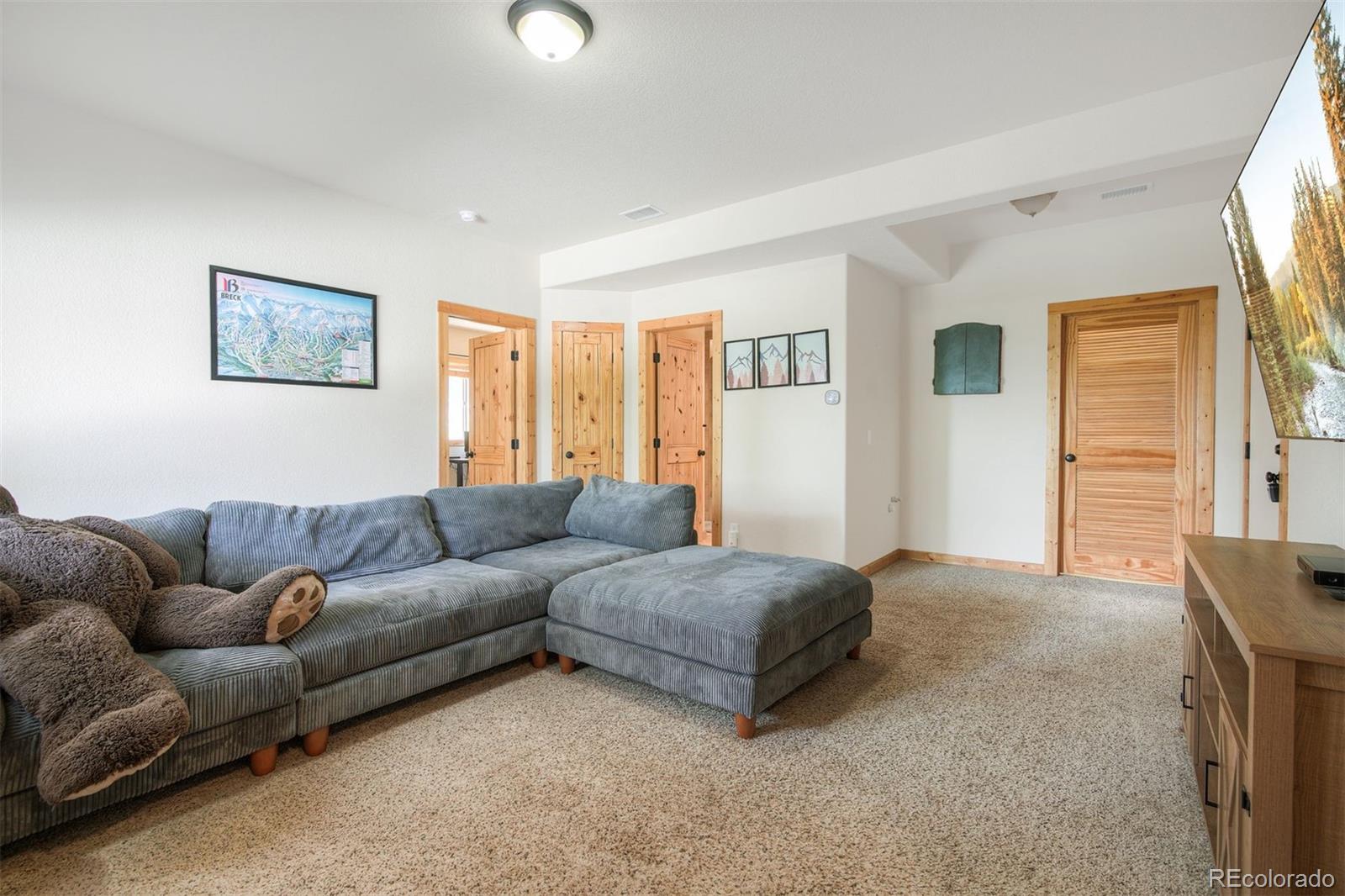 MLS Image #16 for 272  porcupine road,fairplay, Colorado