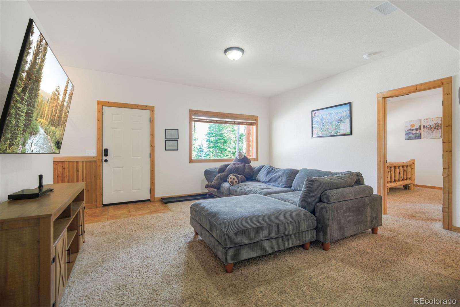 MLS Image #17 for 272  porcupine road,fairplay, Colorado