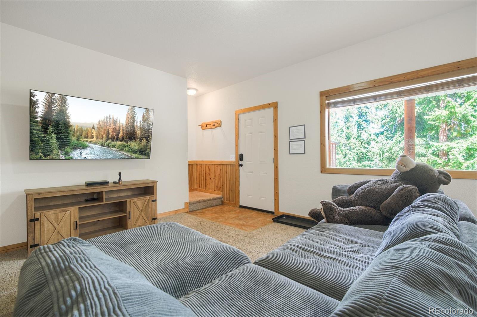 MLS Image #18 for 272  porcupine road,fairplay, Colorado