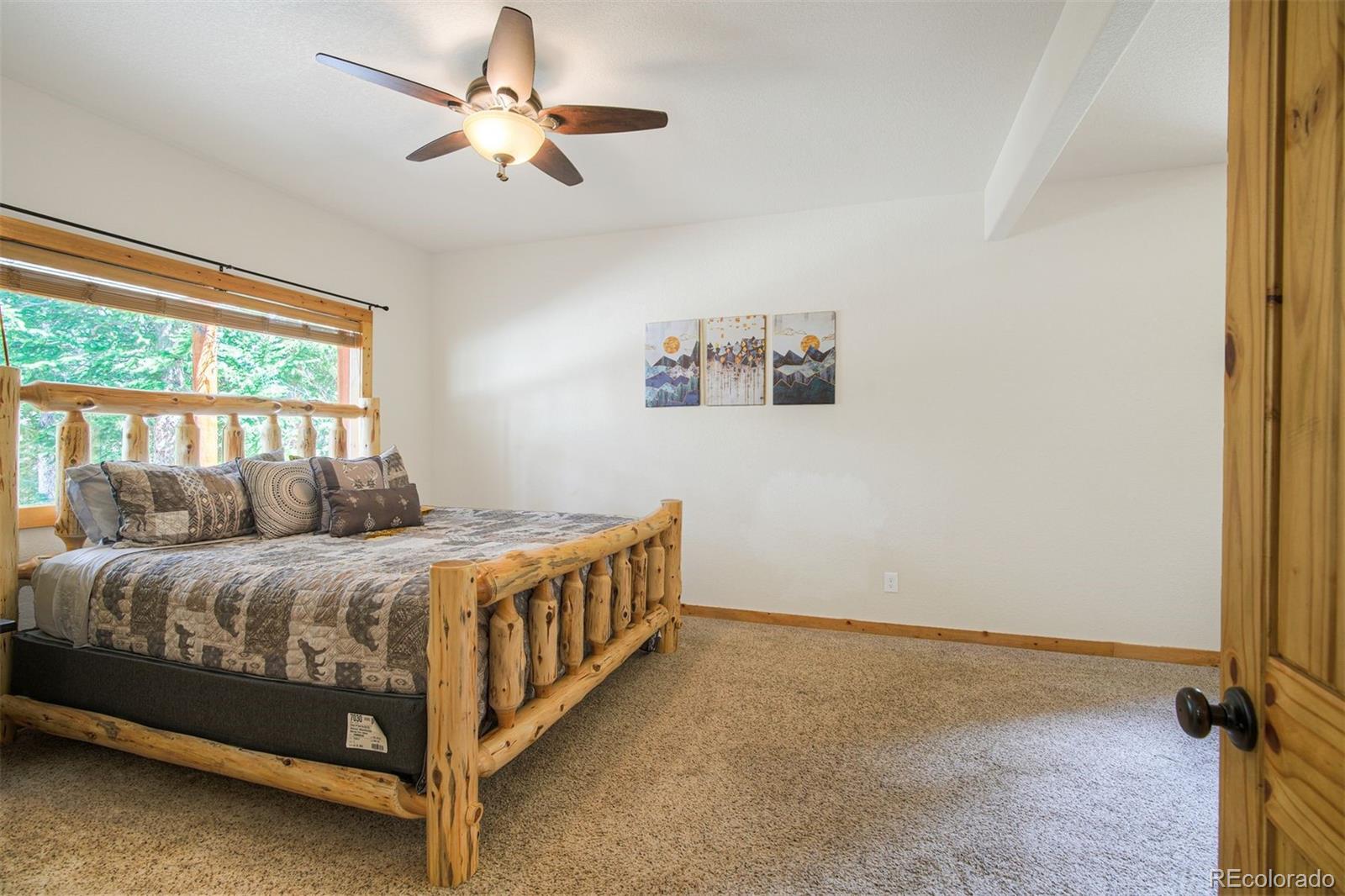 MLS Image #19 for 272  porcupine road,fairplay, Colorado