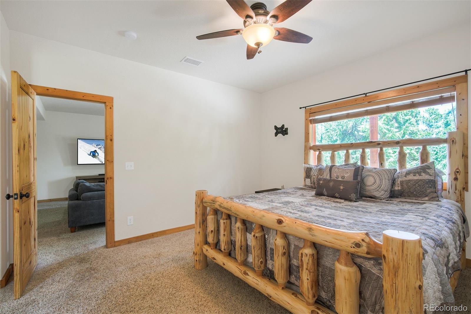 MLS Image #20 for 272  porcupine road,fairplay, Colorado