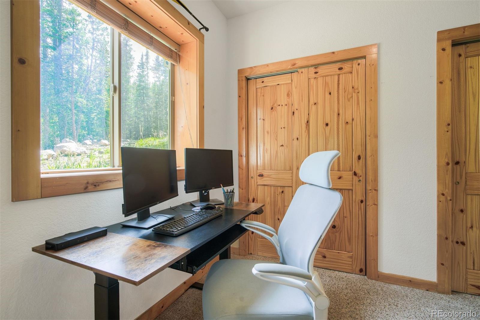 MLS Image #22 for 272  porcupine road,fairplay, Colorado