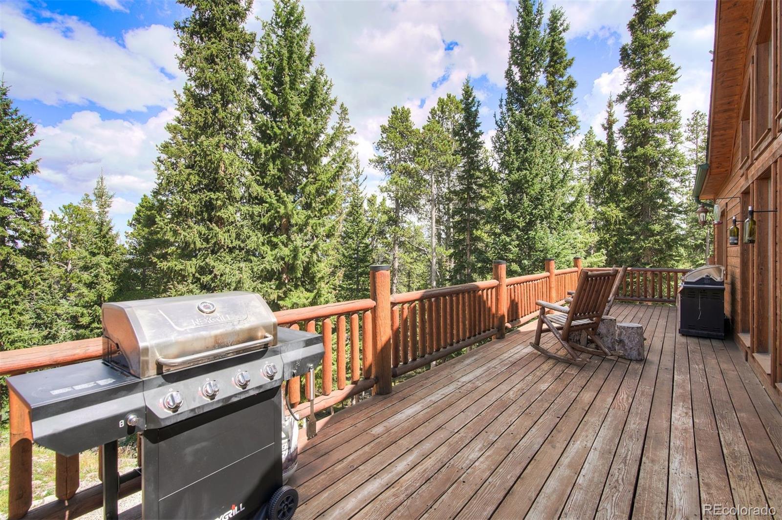 MLS Image #26 for 272  porcupine road,fairplay, Colorado