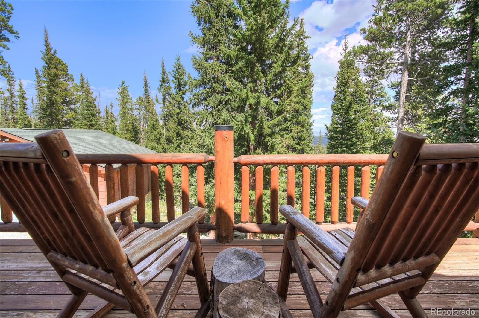 MLS Image #27 for 272  porcupine road,fairplay, Colorado