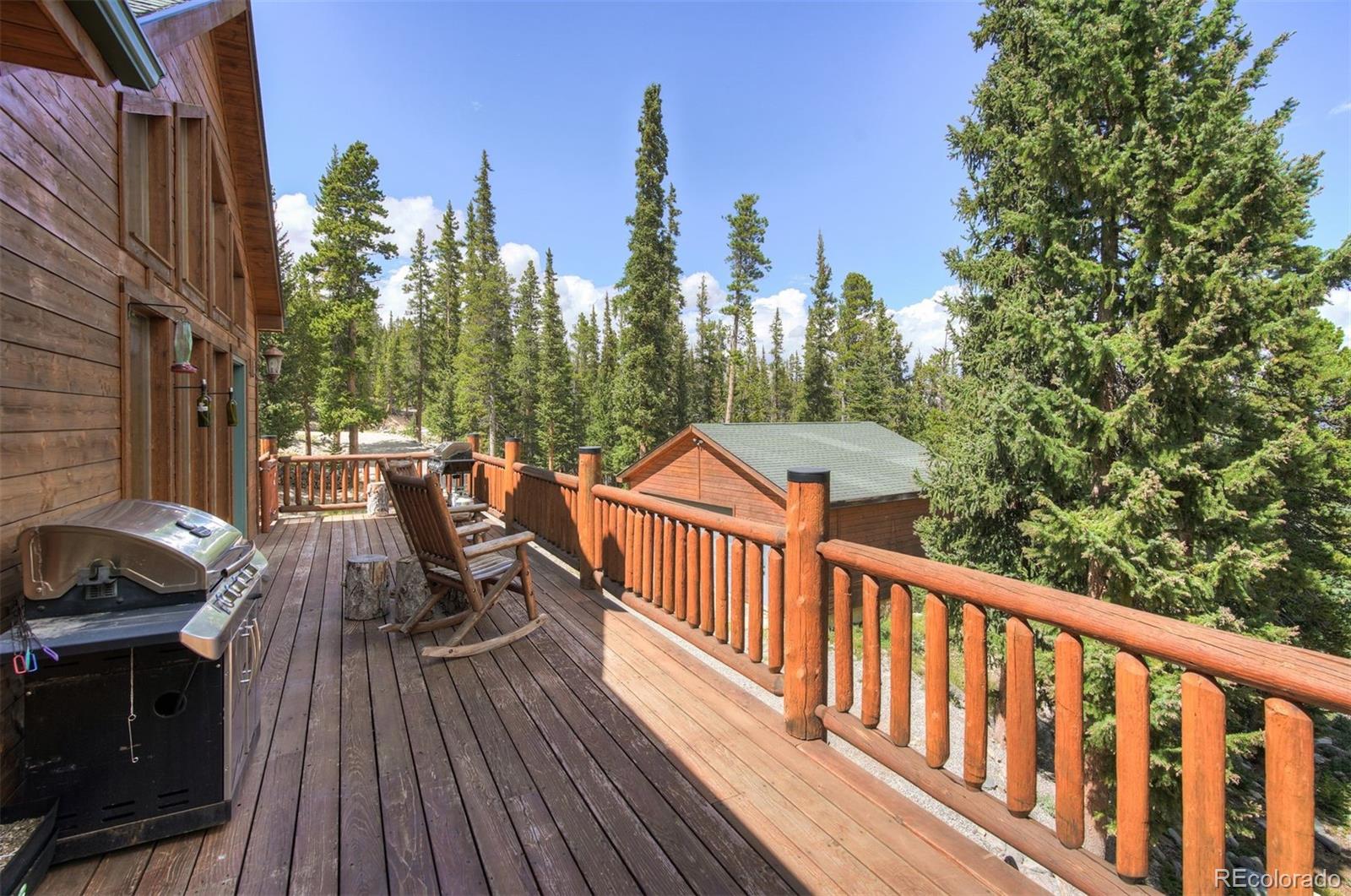 MLS Image #28 for 272  porcupine road,fairplay, Colorado