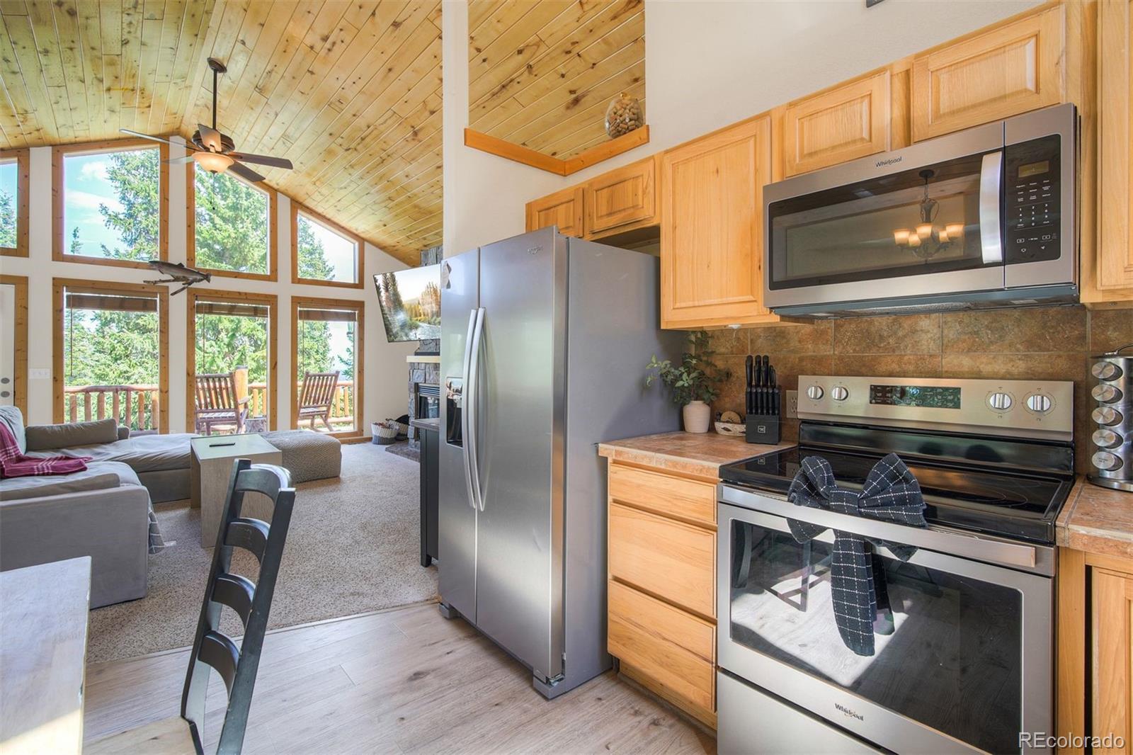 MLS Image #6 for 272  porcupine road,fairplay, Colorado