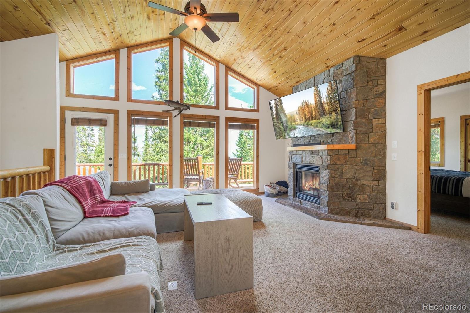 MLS Image #7 for 272  porcupine road,fairplay, Colorado