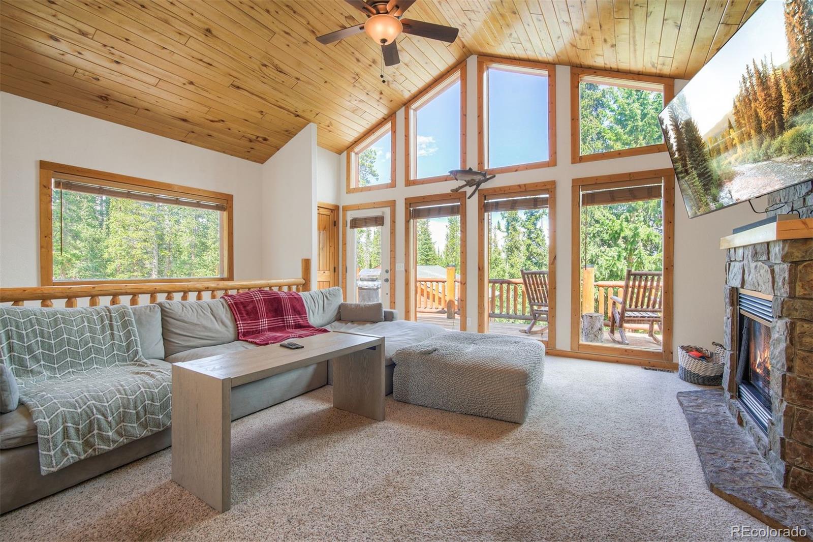 MLS Image #8 for 272  porcupine road,fairplay, Colorado
