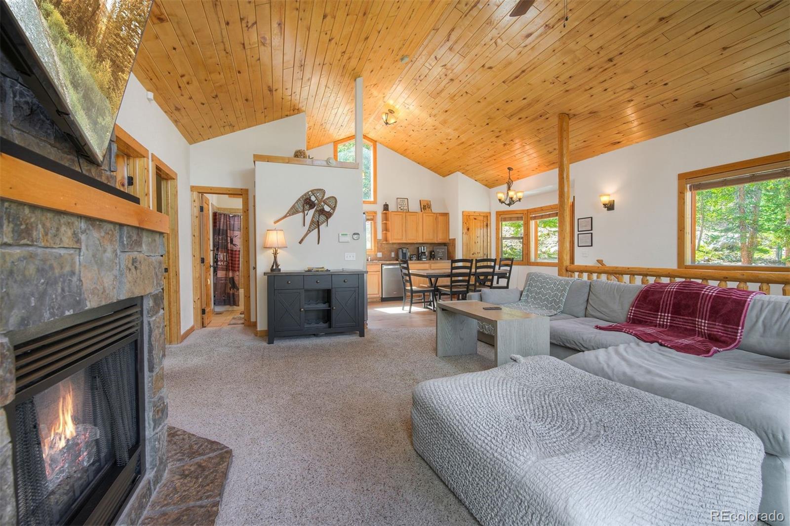 MLS Image #9 for 272  porcupine road,fairplay, Colorado