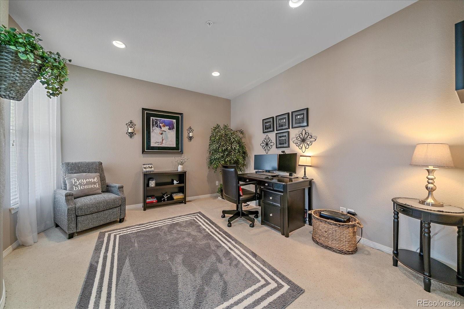 MLS Image #21 for 11410  canterberry lane,parker, Colorado
