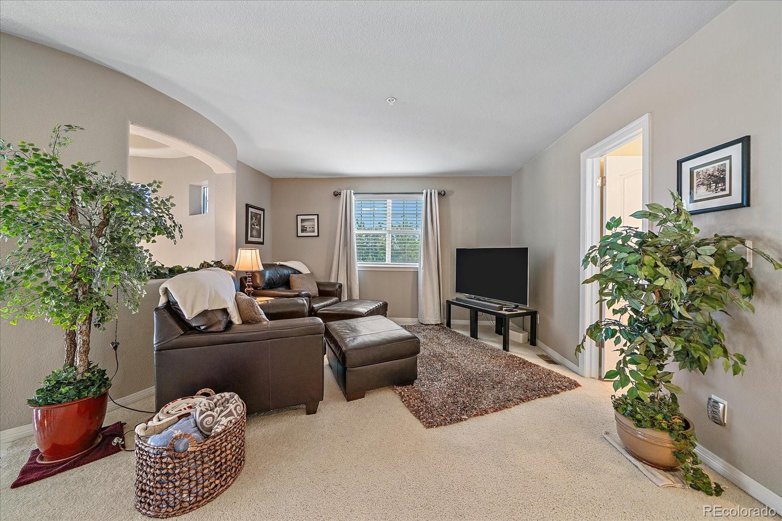 MLS Image #24 for 11410  canterberry lane,parker, Colorado