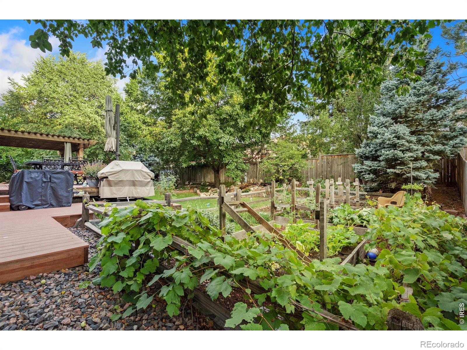 MLS Image #43 for 731  mcgraw drive,fort collins, Colorado