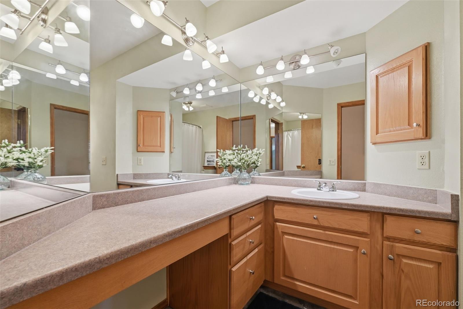 MLS Image #16 for 3640  falco court,colorado springs, Colorado