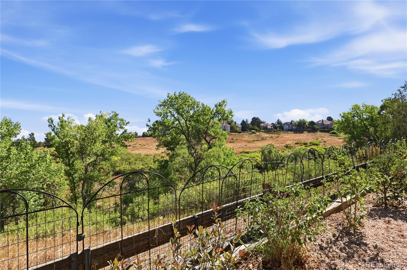 MLS Image #37 for 9748 s ashleigh lane,highlands ranch, Colorado