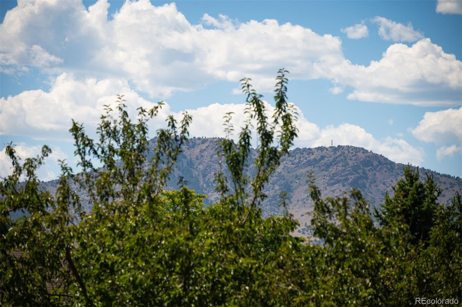 MLS Image #49 for 2220 s beech court,denver, Colorado