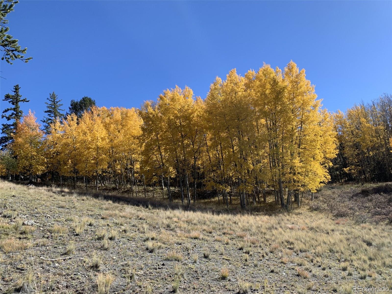 MLS Image #33 for 405  quarter horse road,como, Colorado