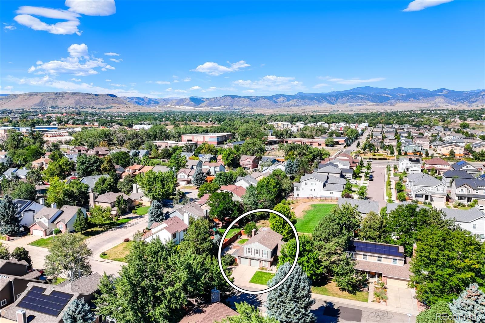 MLS Image #3 for 7025  gladiola street,arvada, Colorado