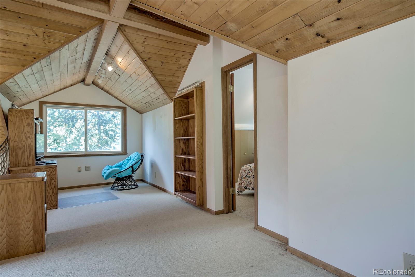 MLS Image #18 for 420  nuthatch drive,alma, Colorado