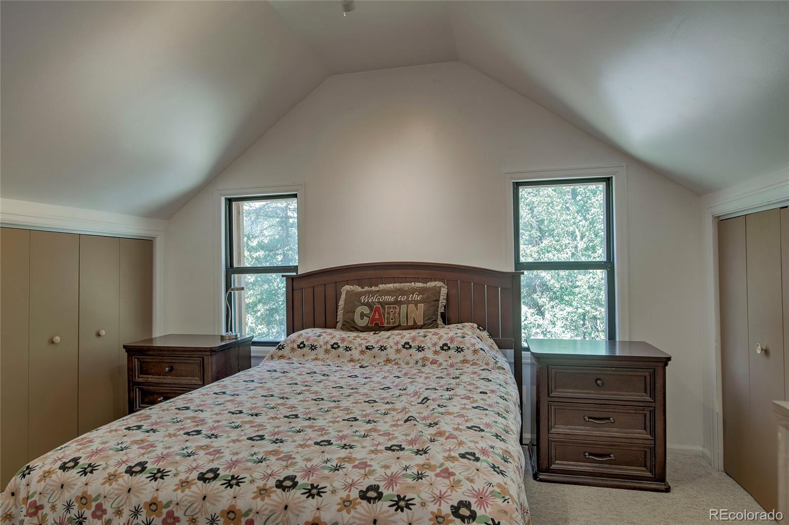 MLS Image #19 for 420  nuthatch drive,alma, Colorado