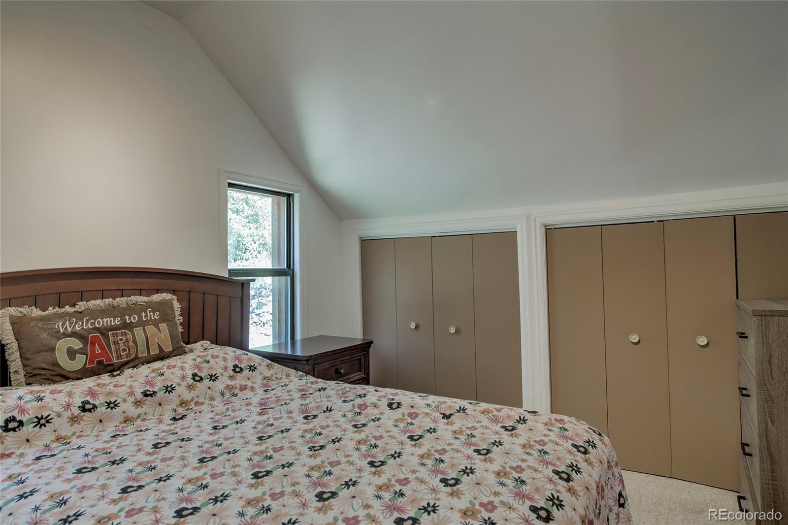 MLS Image #20 for 420  nuthatch drive,alma, Colorado