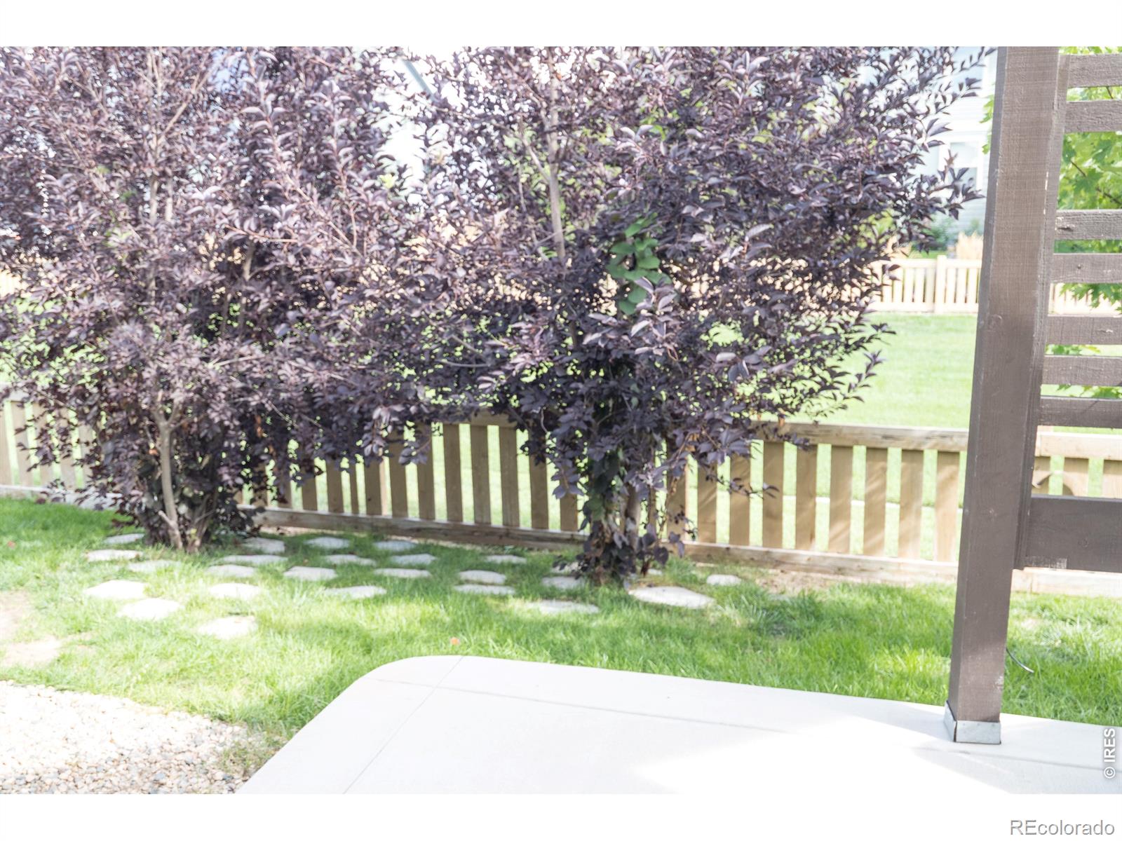 MLS Image #47 for 5388  hallowell park drive,timnath, Colorado