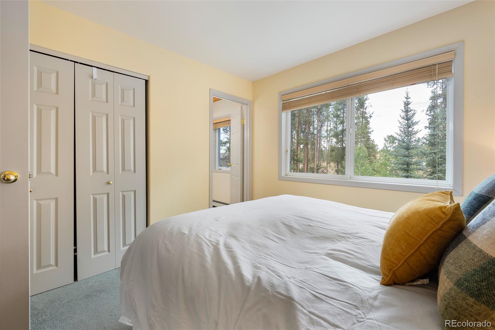 MLS Image #18 for 753  mulligan ,fraser, Colorado