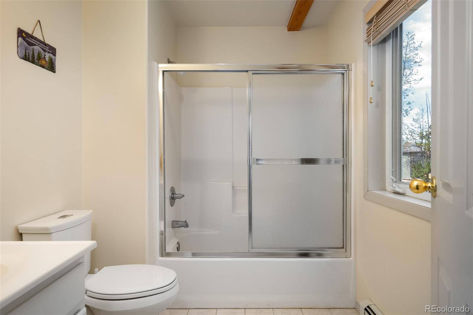 MLS Image #19 for 753  mulligan ,fraser, Colorado
