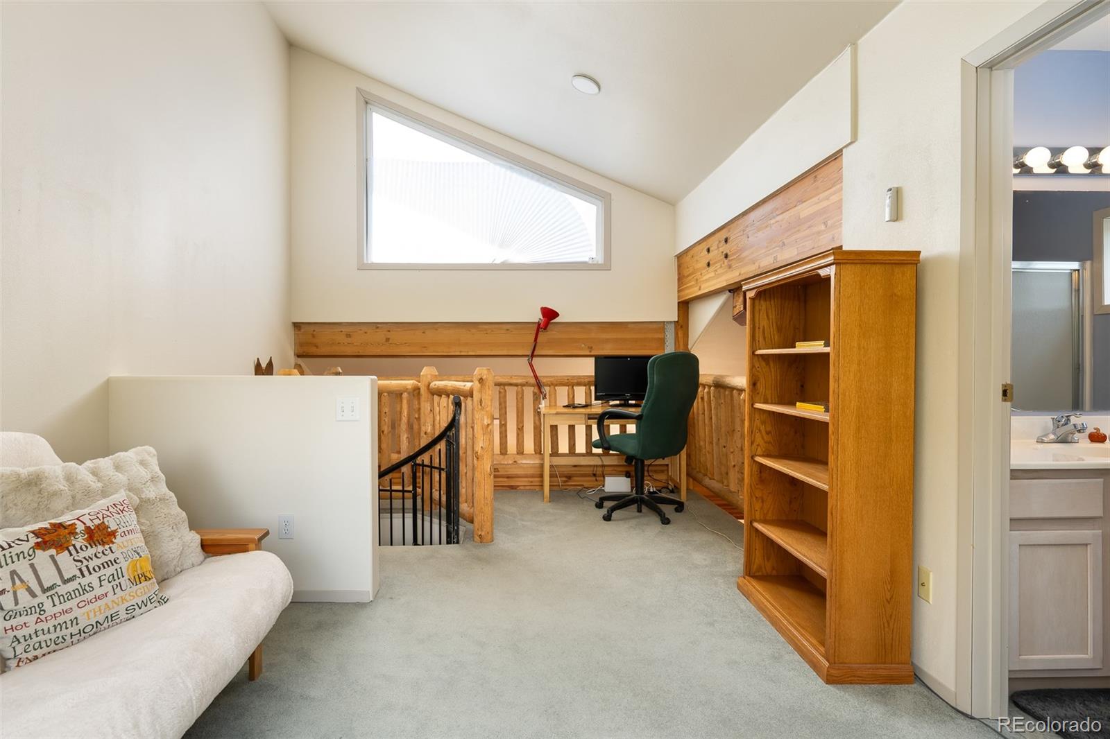 MLS Image #21 for 753  mulligan ,fraser, Colorado