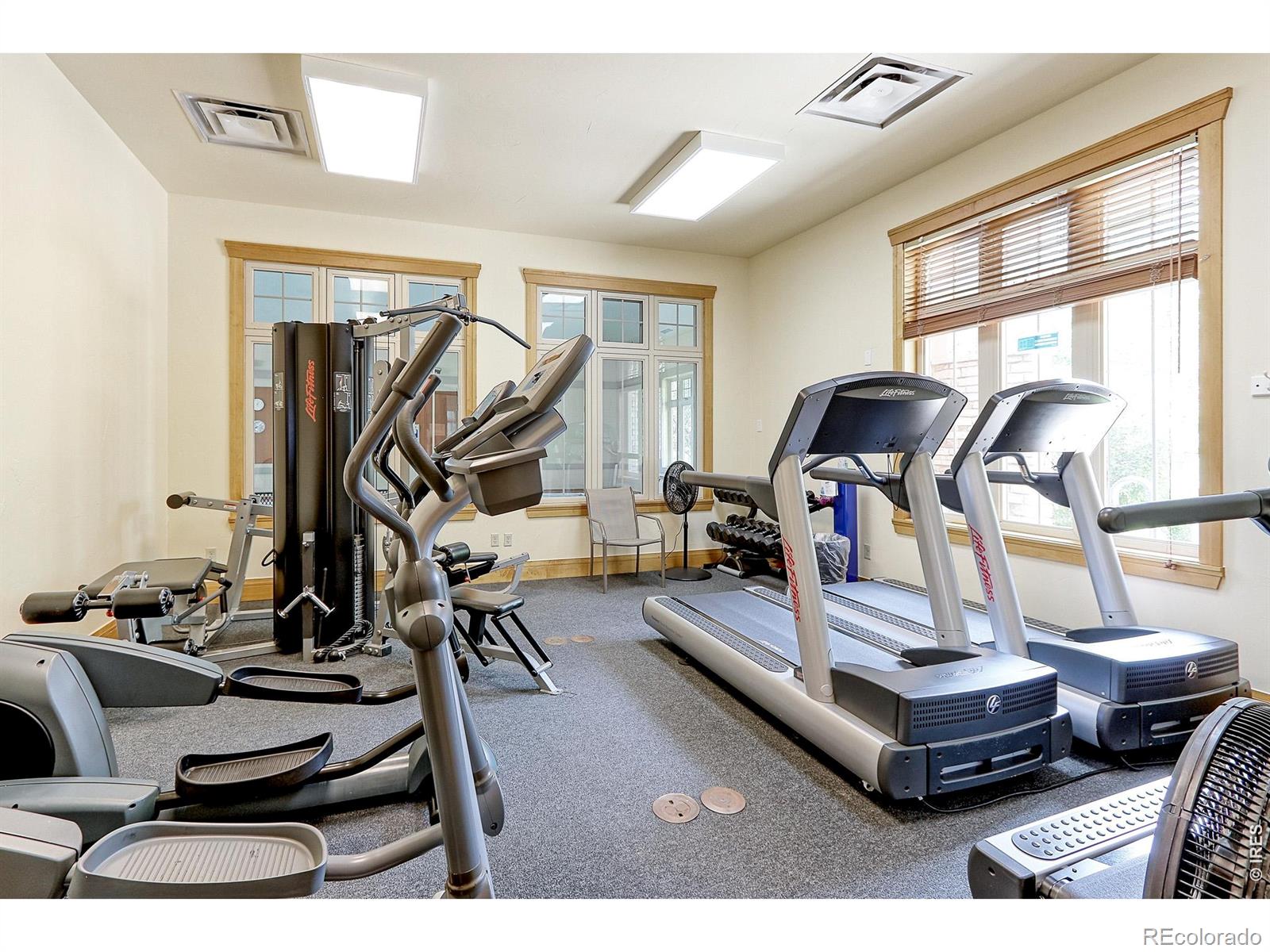MLS Image #43 for 14043  pinehurst circle,broomfield, Colorado