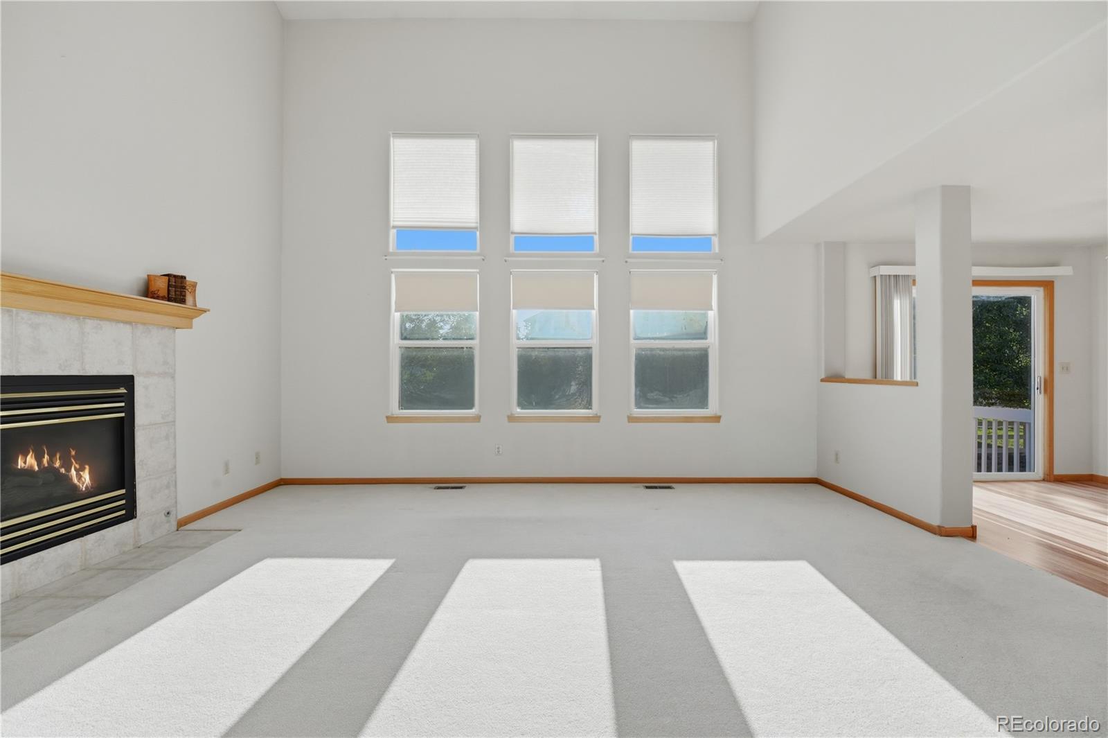 MLS Image #10 for 2624  shavano court,fort collins, Colorado