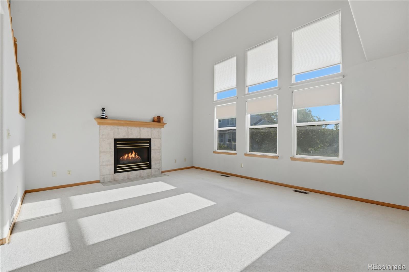 MLS Image #11 for 2624  shavano court,fort collins, Colorado