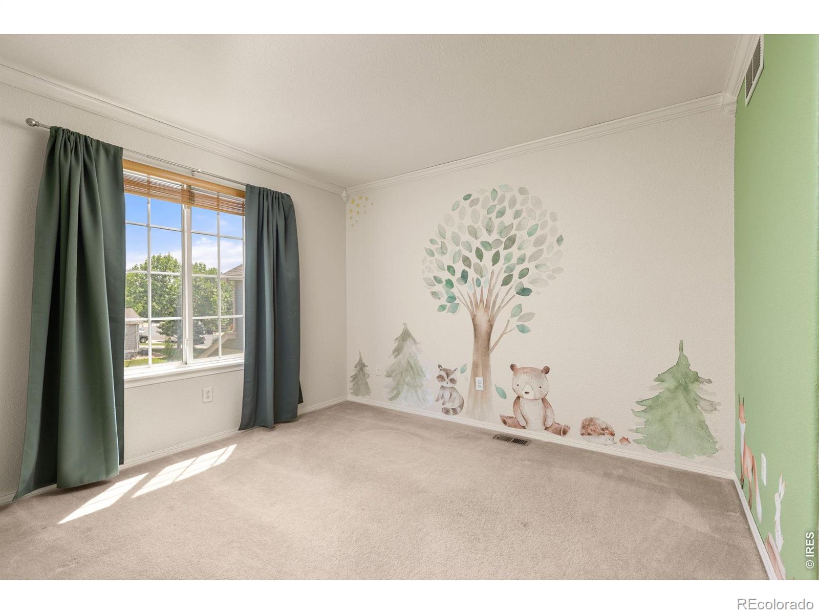 MLS Image #22 for 6411  sparrow avenue,firestone, Colorado