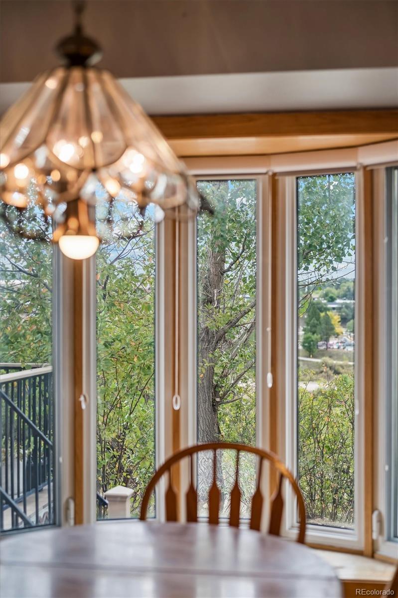 MLS Image #13 for 495  guyout ridge court,colorado springs, Colorado