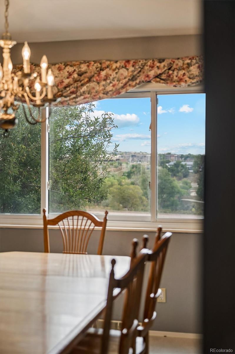 MLS Image #14 for 495  guyout ridge court,colorado springs, Colorado