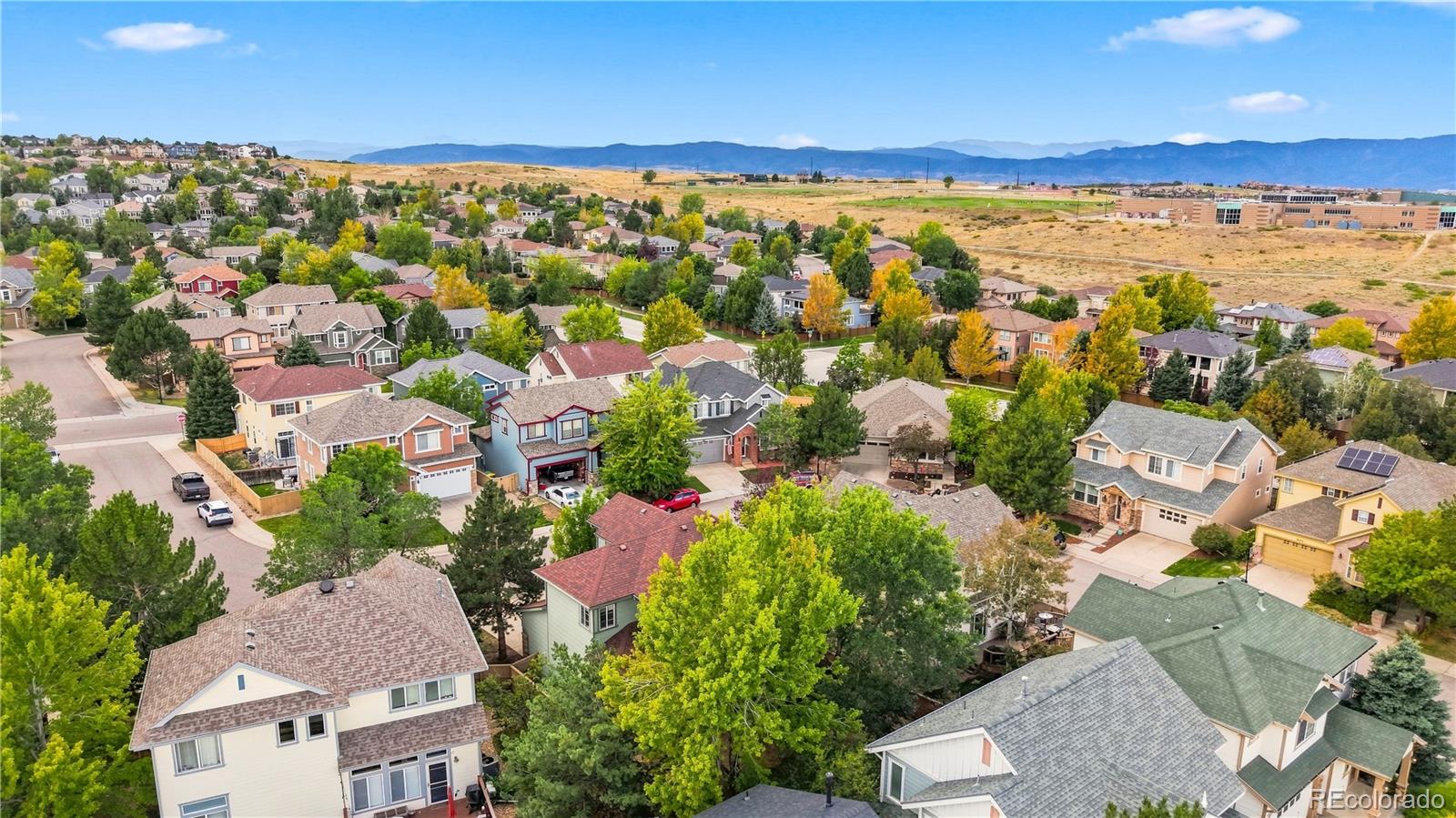 MLS Image #5 for 10566  wildhurst circle,highlands ranch, Colorado