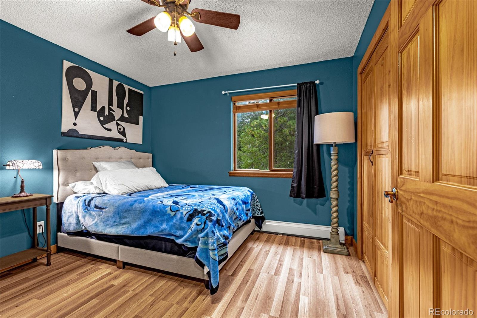MLS Image #32 for 271  county road 512 ,divide, Colorado