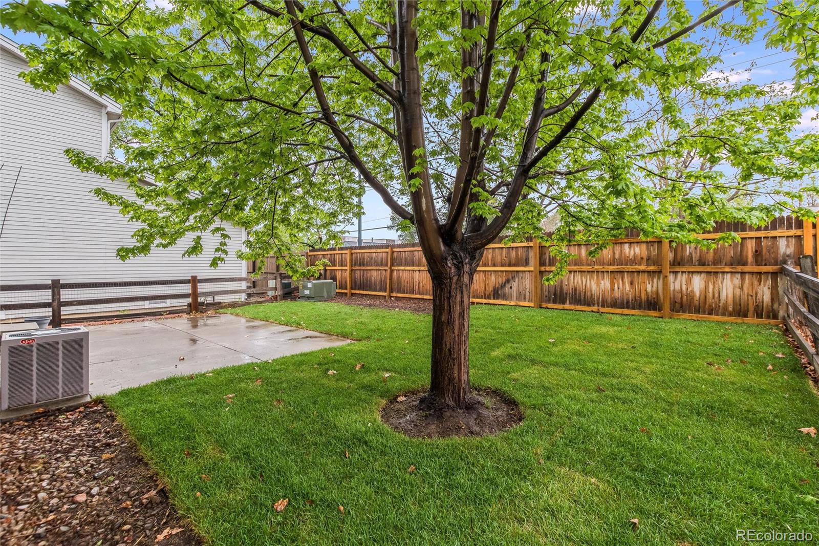 MLS Image #24 for 3516  dexter court,denver, Colorado