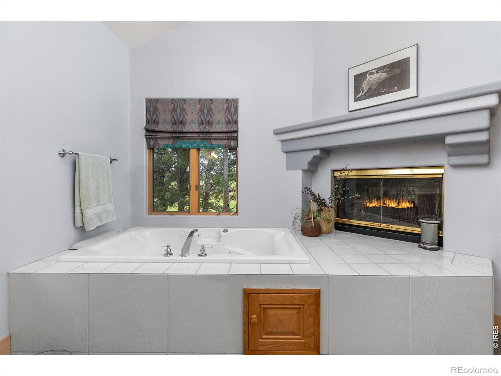 MLS Image #29 for 2611  fox acres drive,red feather lakes, Colorado
