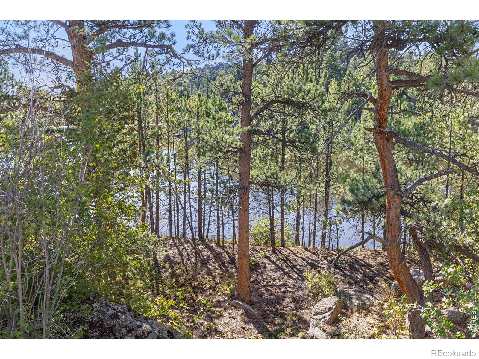 MLS Image #4 for 2611  fox acres drive,red feather lakes, Colorado